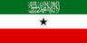 Somaliland flag